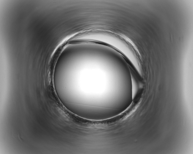 X0000086010973200704091052
