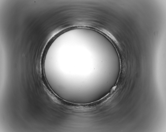 X0000086010980200704091052