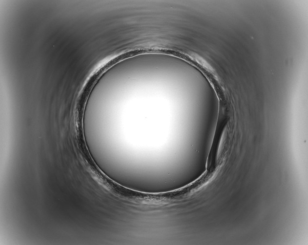 X0000086010981200704091052