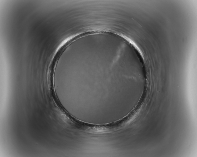 X0000086010983200704091052