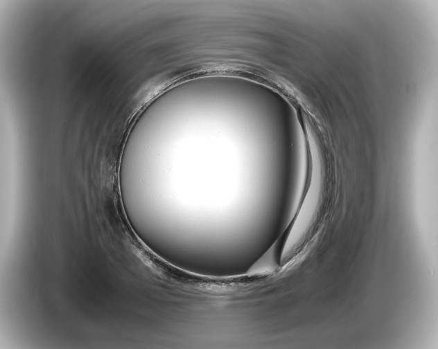 X0000086010985200704091052