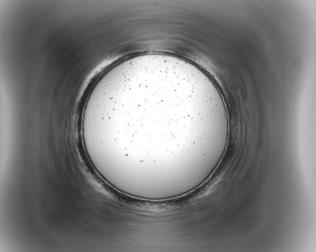 X0000086010987200704091052