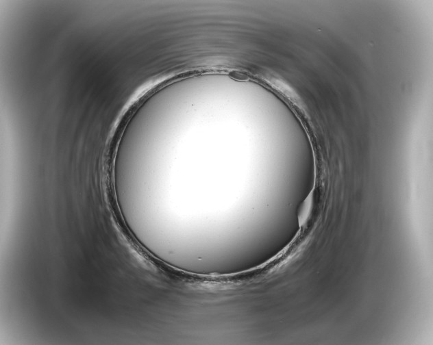 X0000086010989200704091052