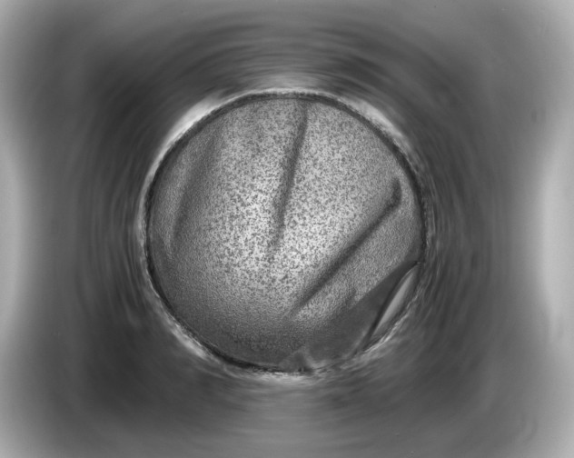 X0000086010990200704091052