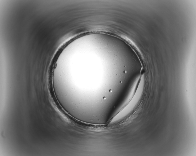 X0000086010991200704091052