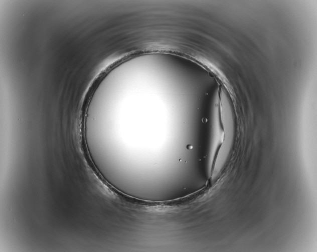 X0000086010992200704091052