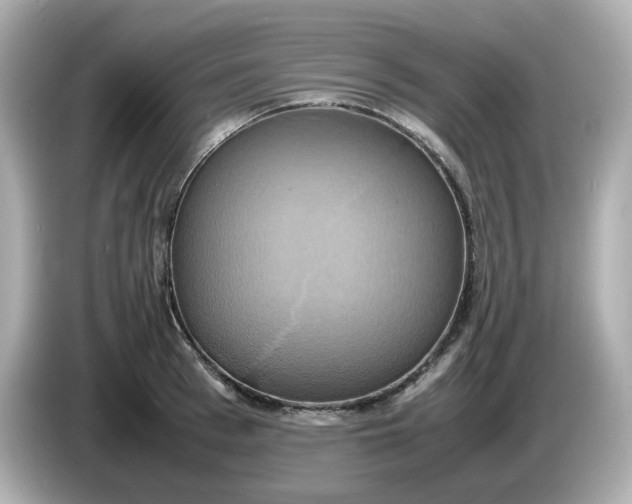 X0000086010993200704091052