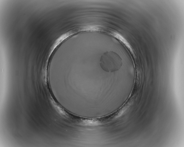 X0000086010994200704091052
