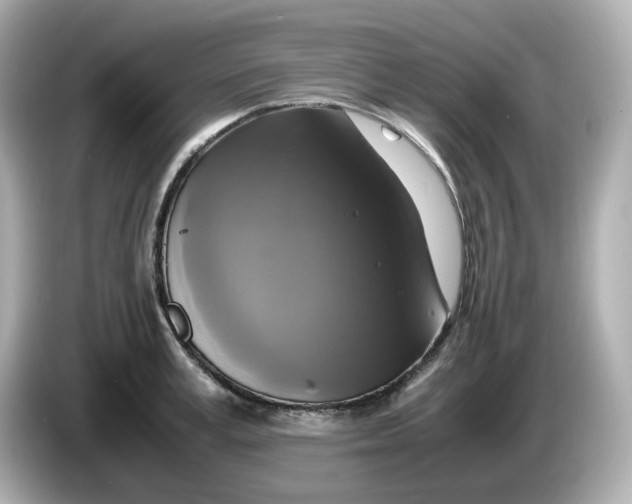 X0000086010995200704091052