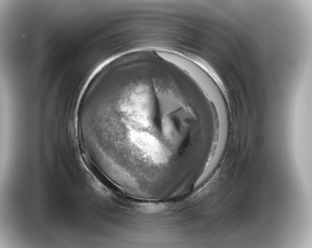 X0000086010996200704091052