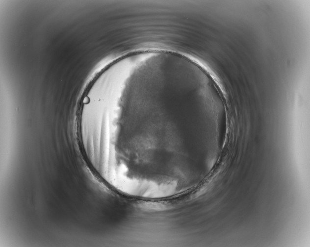 X0000086010998200704091052
