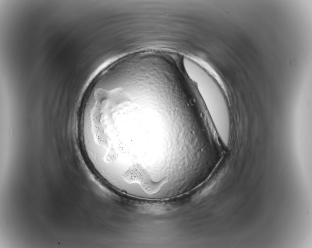 X0000086010999200704091052