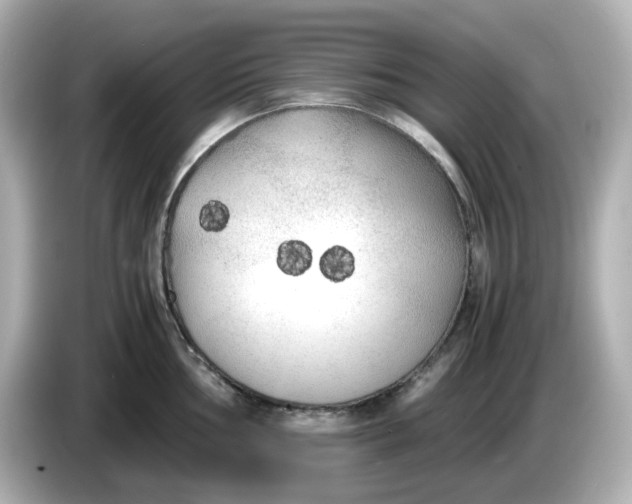 X0000086011002200704091052