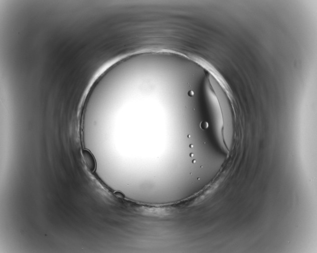 X0000086011004200704091052