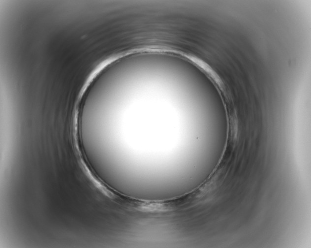 X0000086011006200704091052
