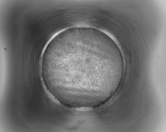 X0000086011008200704091052
