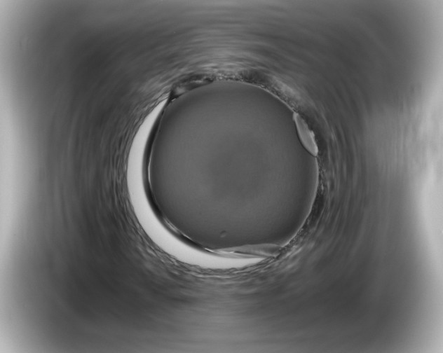 X0000086011010200704091051