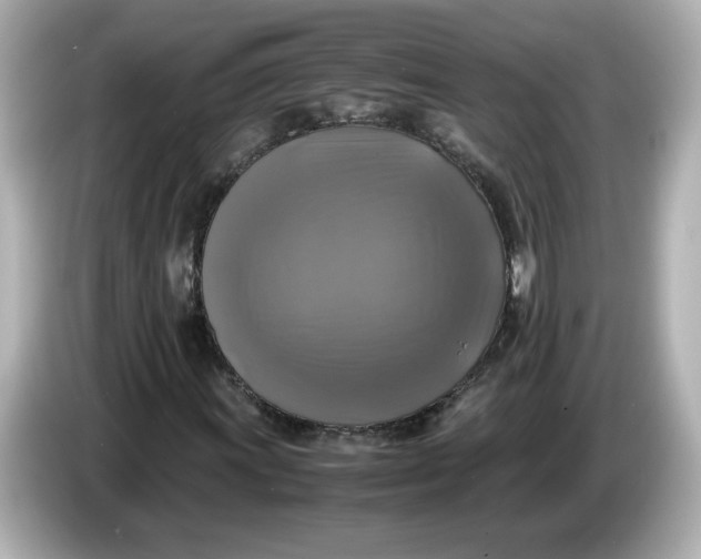 X0000086011011200704091051