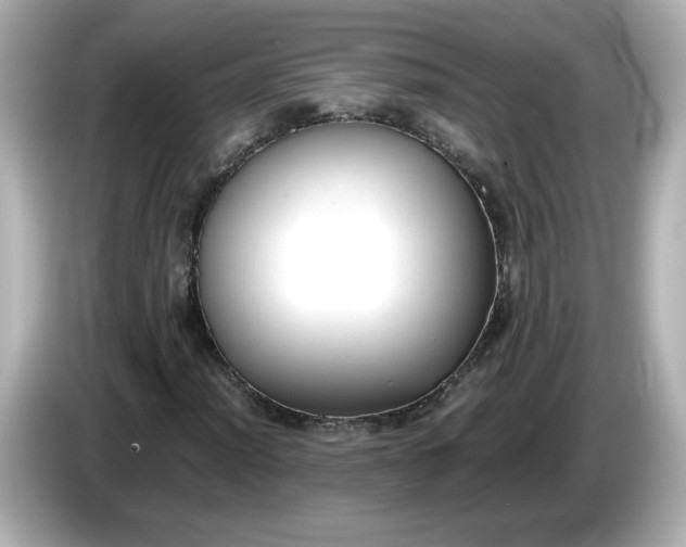 X0000086011012200704091051