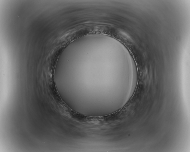 X0000086011013200704091051