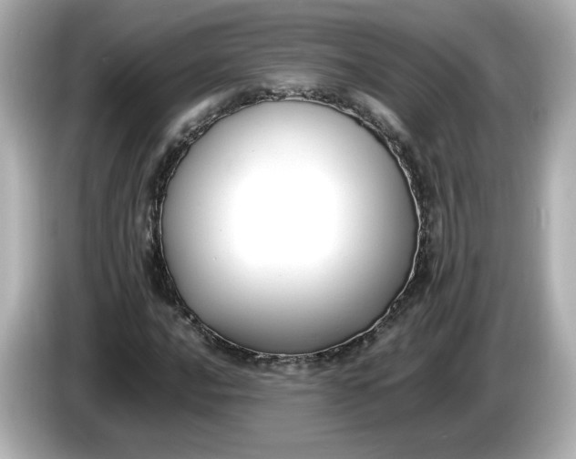 X0000086011016200704091051
