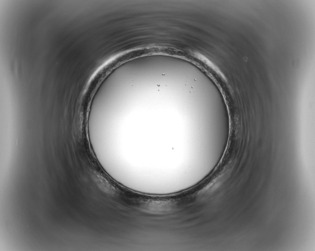 X0000086011021200704091052