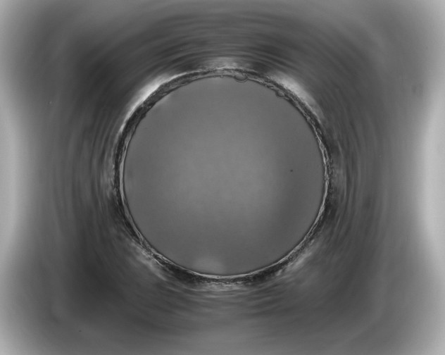 X0000086011023200704091052