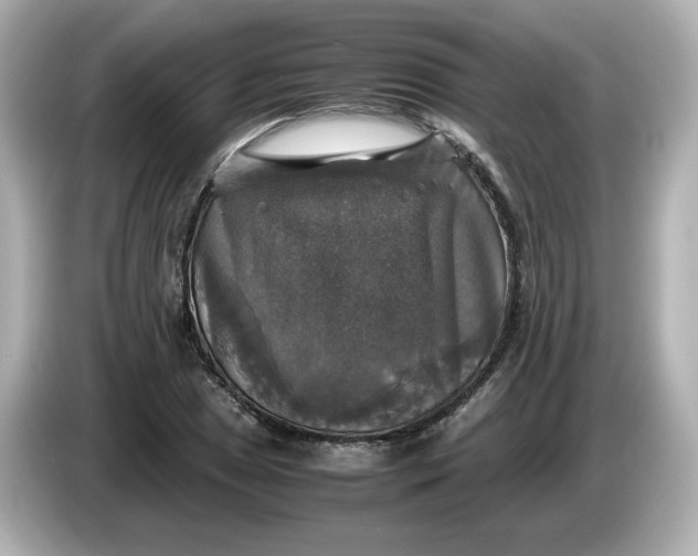 X0000086011025200704091052