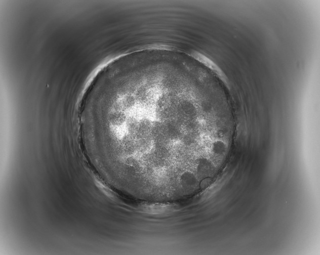 X0000086011027200704091052