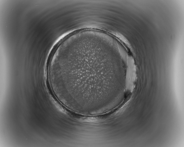 X0000086011028200704091052