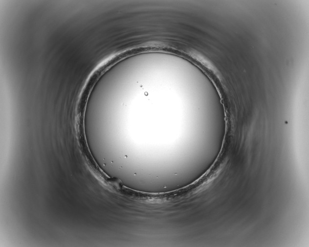 X0000086011029200704091052