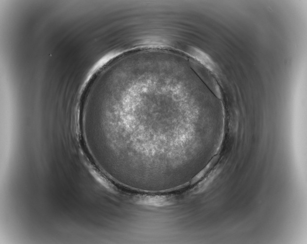 X0000086011030200704091052