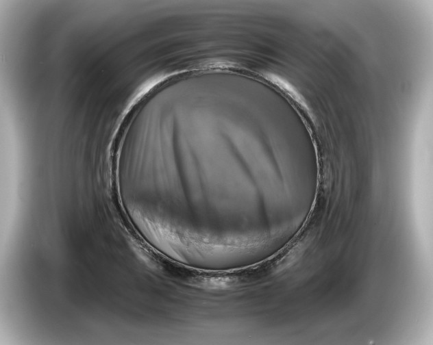 X0000086011031200704091052