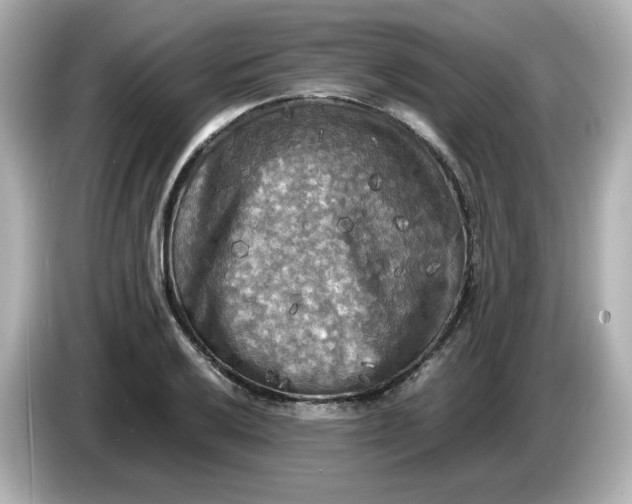 X0000086011032200704091052