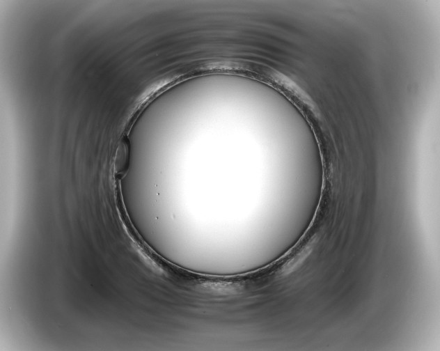 X0000086011033200704091052