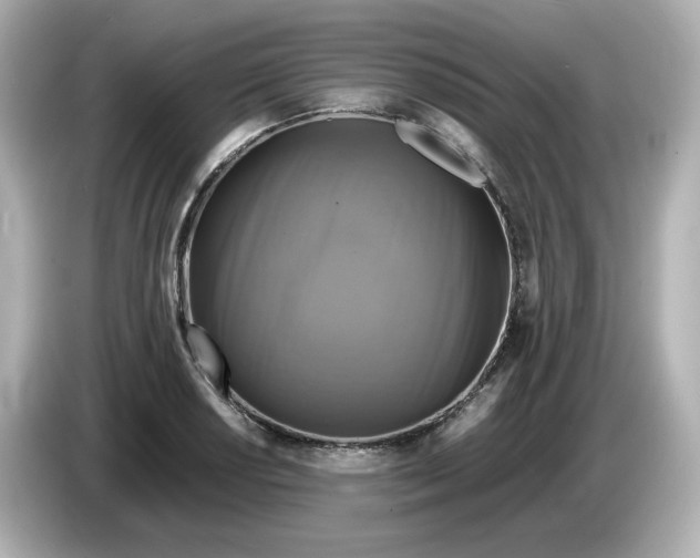 X0000086011034200704091052