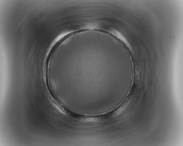 X0000086011035200704091052