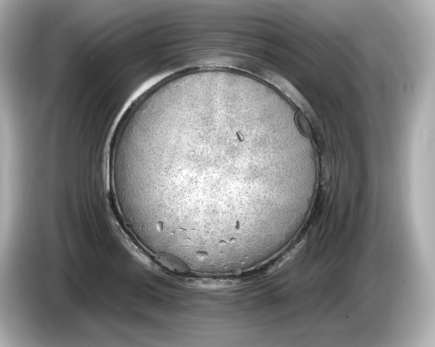 X0000086011036200704091052