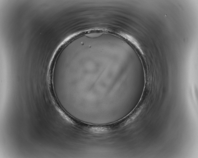 X0000086011037200704091052