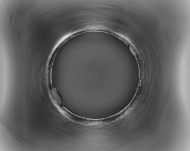 X0000086011038200704091052