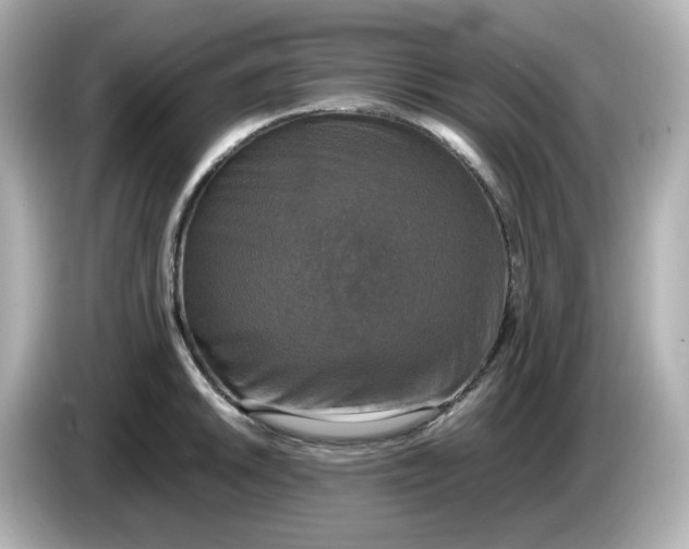 X0000086011046200704091052