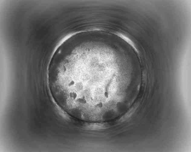X0000086011047200704091052