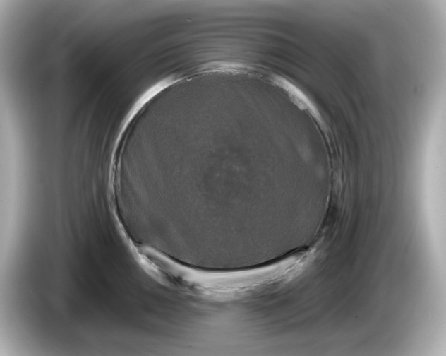 X0000086011050200704091052