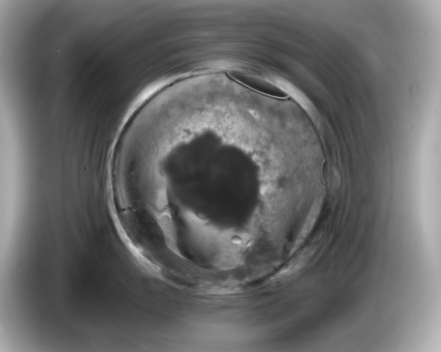 X0000086011055200704091052