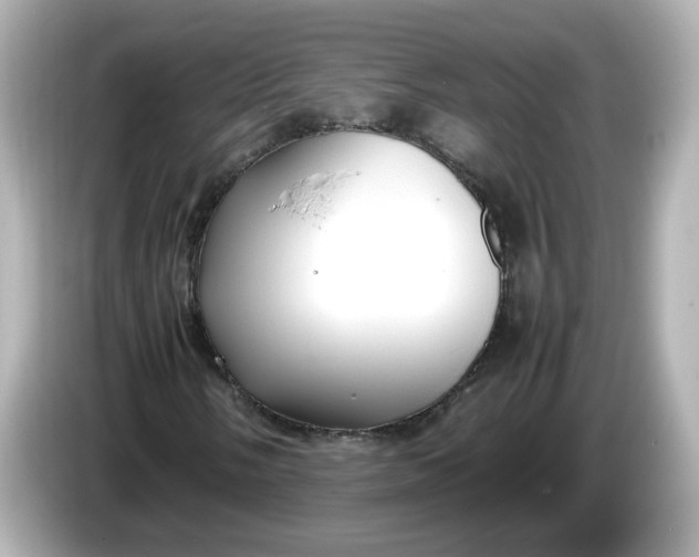 X0000086011058200704091051