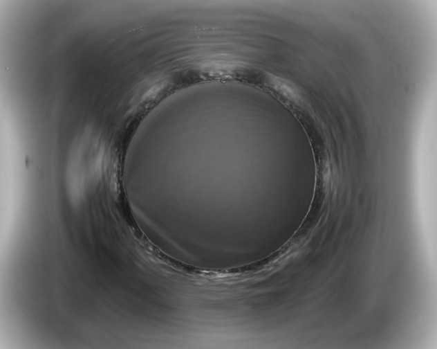 X0000086011060200704091051