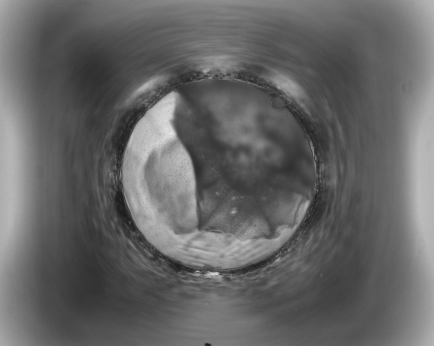 X0000086011063200704091051