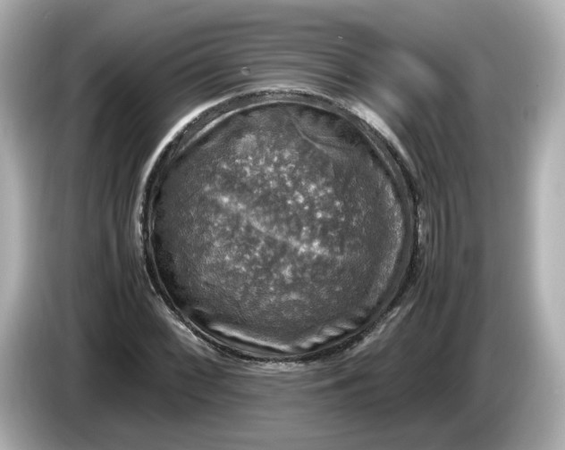 X0000086011068200704091051