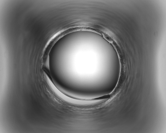 X0000086011069200704091051