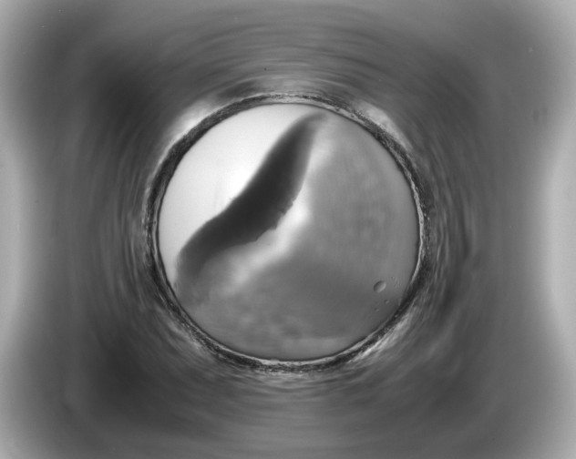 X0000086011071200704091051